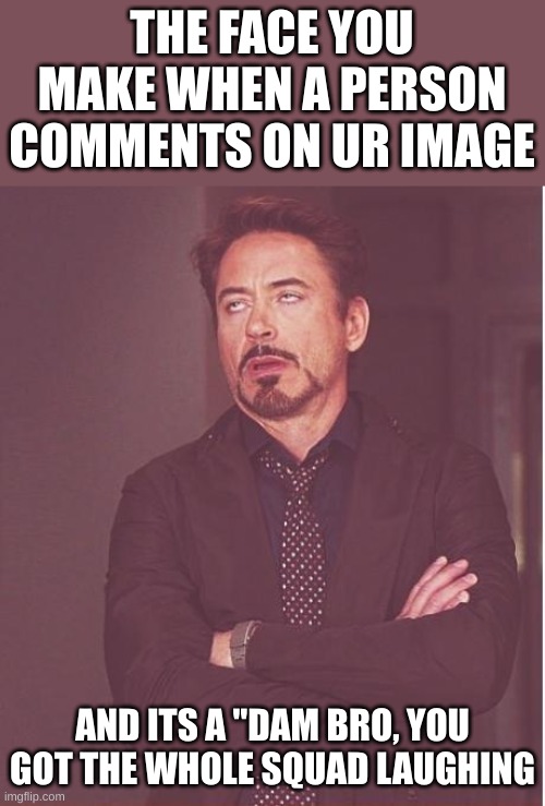 frick those mfs | THE FACE YOU MAKE WHEN A PERSON COMMENTS ON UR IMAGE; AND ITS A "DAM BRO, YOU GOT THE WHOLE SQUAD LAUGHING | image tagged in memes,face you make robert downey jr | made w/ Imgflip meme maker