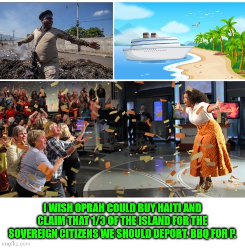 Funny | I WISH OPRAH COULD BUY HAITI AND CLAIM THAT 1/3 OF THE ISLAND FOR THE SOVEREIGN CITIZENS WE SHOULD DEPORT. BBQ FOR P. | image tagged in funny | made w/ Imgflip meme maker
