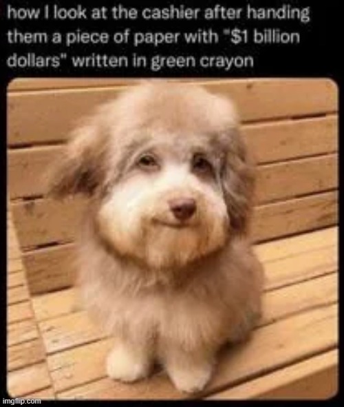 image tagged in memes,funny | made w/ Imgflip meme maker