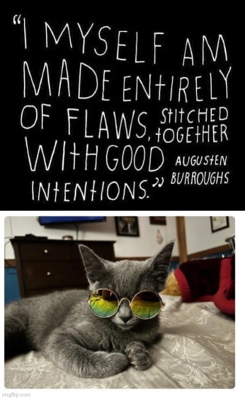 Good intentions Burroughs quote | image tagged in cat,inspirational quote | made w/ Imgflip meme maker