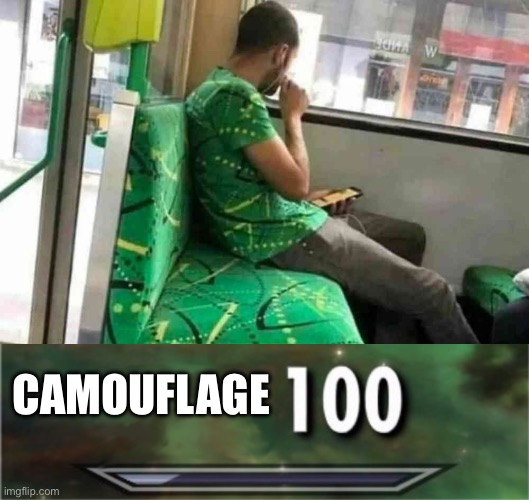 Camouflage | CAMOUFLAGE | image tagged in level 100,camouflage | made w/ Imgflip meme maker