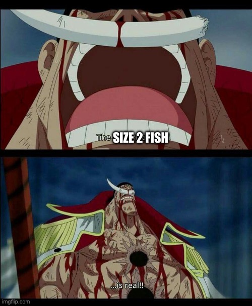 THE ______ IS REALLL | SIZE 2 FISH | image tagged in the ______ is realll,ultrakill | made w/ Imgflip meme maker