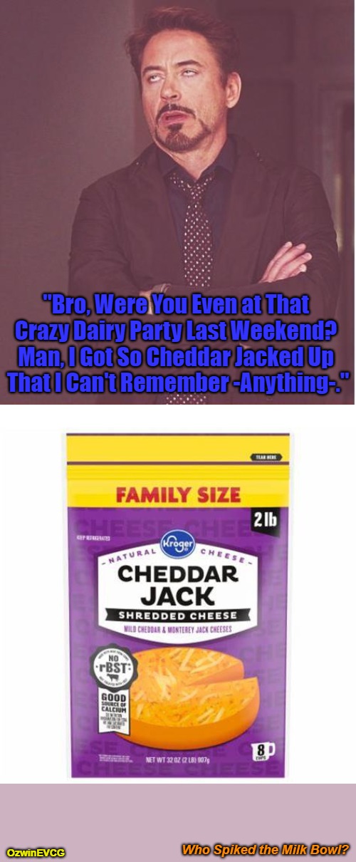 Who Spiked the Milk Bowl? | "Bro, Were You Even at That 

Crazy Dairy Party Last Weekend? 

Man, I Got So Cheddar Jacked Up 

That I Can't Remember -Anything-."; OzwinEVCG; Who Spiked the Milk Bowl? | image tagged in parties,that awkward moment,dairy king,face you make,asking questions,memory | made w/ Imgflip meme maker