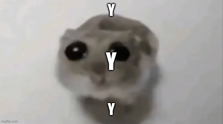 Sad Hamster | Y; Y; Y | image tagged in sad hamster | made w/ Imgflip meme maker