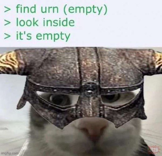 made w/ Imgflip meme maker