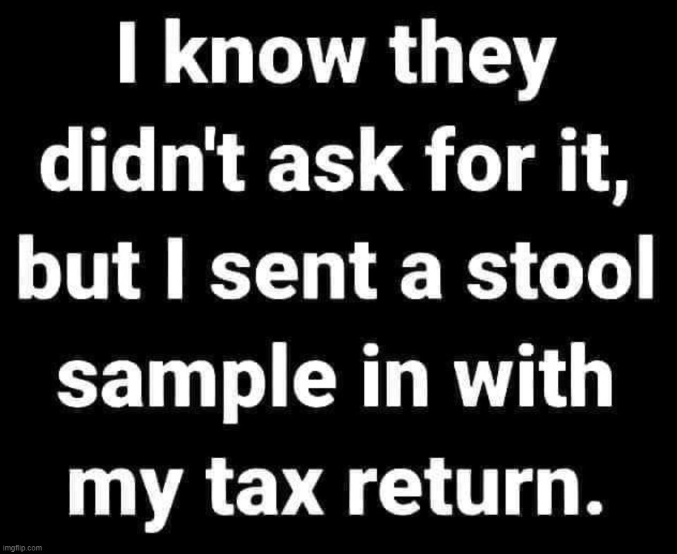 Who's with me on this? | image tagged in stool sample,tax returns,income taxes,turds,shit for brains,shitpost | made w/ Imgflip meme maker