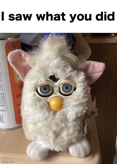 Furby | I saw what you did | image tagged in furby | made w/ Imgflip meme maker