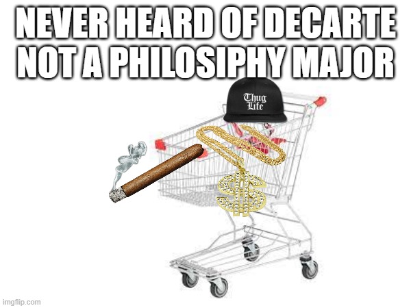 NEVER HEARD OF DECARTE NOT A PHILOSIPHY MAJOR | made w/ Imgflip meme maker