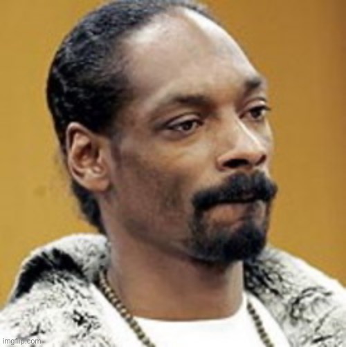 Snoop Dogg is disappointed | image tagged in snoop dogg is disappointed | made w/ Imgflip meme maker