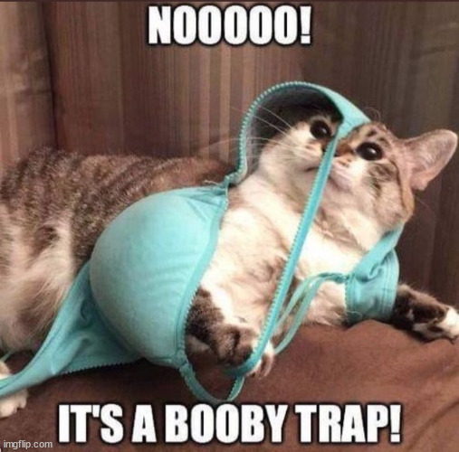 Catch and release | image tagged in repost,booby trap,catch and release | made w/ Imgflip meme maker