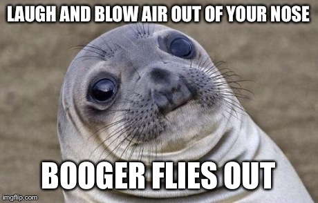 Awkward Moment Sealion Meme | LAUGH AND BLOW AIR OUT OF YOUR NOSE BOOGER FLIES OUT | image tagged in memes,awkward moment sealion,AdviceAnimals | made w/ Imgflip meme maker