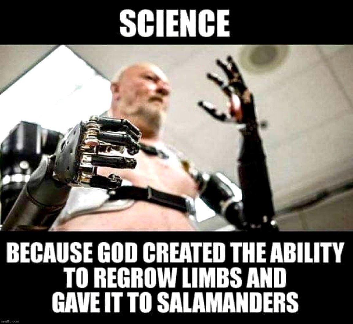 image tagged in religion,creationism,creationists,science | made w/ Imgflip meme maker