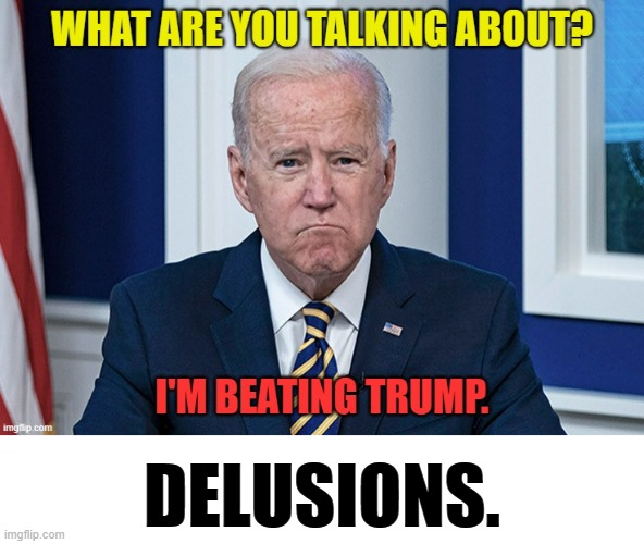 The Chief Of ... | DELUSIONS. | image tagged in memes,politics,joe biden,beating,donald trump,delusion | made w/ Imgflip meme maker