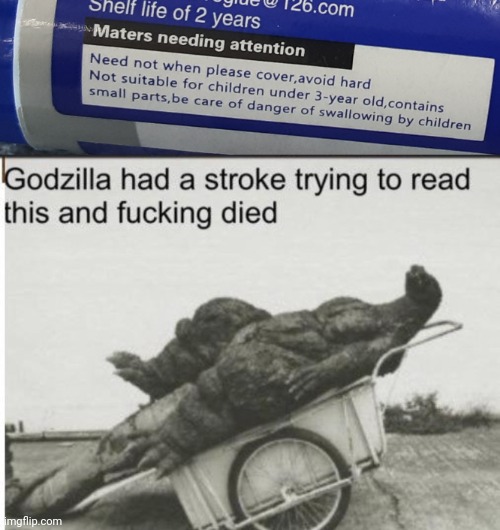 MADE IN CHINA?????? | image tagged in godzilla | made w/ Imgflip meme maker