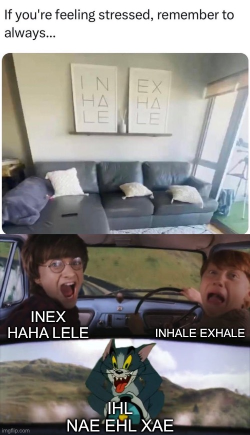 Inhale exhale | INHALE EXHALE; INEX HAHA LELE; IHL NAE EHL XAE | image tagged in tom chasing harry and ron weasly,stress | made w/ Imgflip meme maker