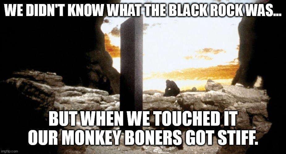2001 Space eroticy | WE DIDN'T KNOW WHAT THE BLACK ROCK WAS... BUT WHEN WE TOUCHED IT OUR MONKEY BONERS GOT STIFF. | image tagged in 2001 a space odyssey,human evolution | made w/ Imgflip meme maker