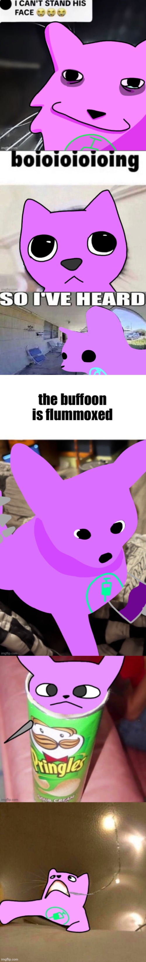 Vaxcat reaction images | made w/ Imgflip meme maker