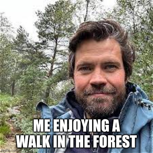 Me enjoying a walk in the forest | ME ENJOYING A WALK IN THE FOREST | image tagged in funny,meme,funny memes,funny meme,forest | made w/ Imgflip meme maker