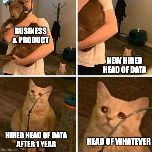 Ignored cat | BUSINESS
& PRODUCT; NEW HIRED HEAD OF DATA; HIRED HEAD OF DATA
AFTER 1 YEAR; HEAD OF WHATEVER | image tagged in ignored cat | made w/ Imgflip meme maker