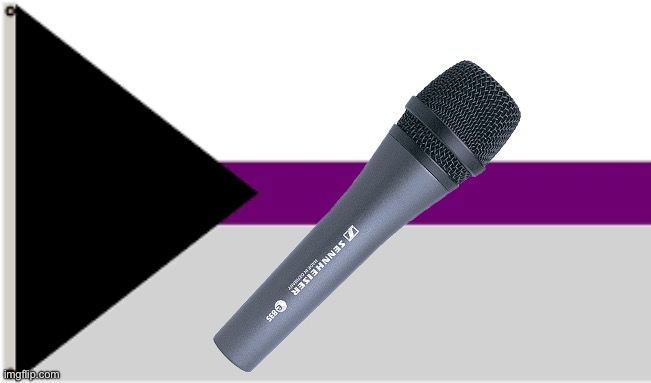 Demising | image tagged in demisexual flag,demisexual,lgbtq,puns,singing,microphone | made w/ Imgflip meme maker
