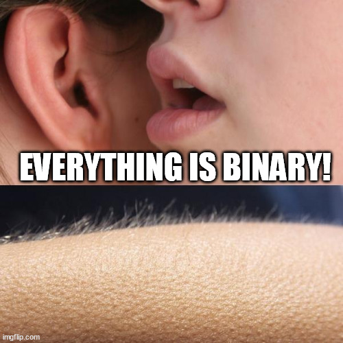 The Universe is a mathematical system. Not feelings-system! | EVERYTHING IS BINARY! | image tagged in whisper and goosebumps,binary,funny memes,fun,funny,memes | made w/ Imgflip meme maker