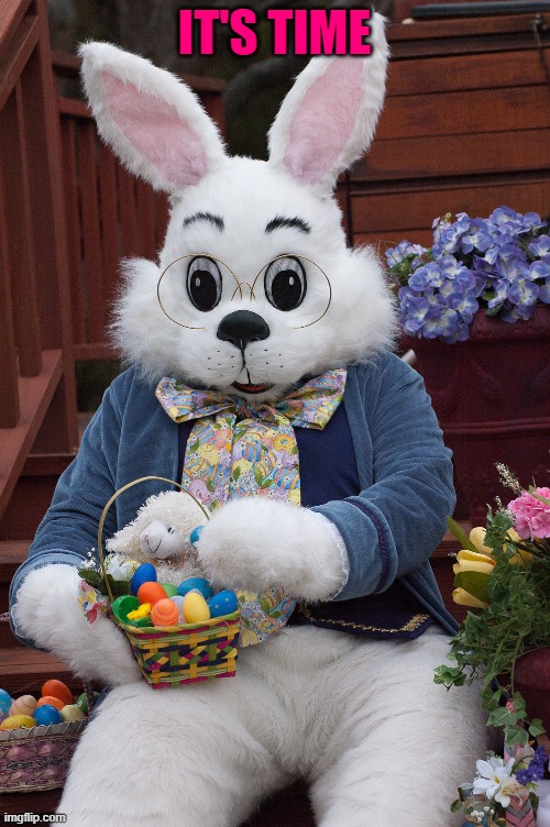easter bunny | IT'S TIME | image tagged in easter bunny | made w/ Imgflip meme maker