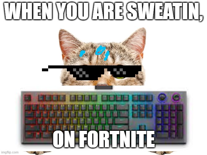 WHEN YOU ARE SWEATIN, ON FORTNITE | image tagged in nice | made w/ Imgflip meme maker