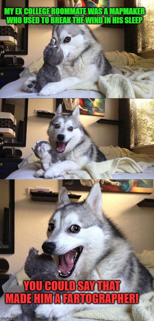 Bad Joke Dog | MY EX COLLEGE ROOMMATE WAS A MAPMAKER WHO USED TO BREAK THE WIND IN HIS SLEEP; YOU COULD SAY THAT MADE HIM A FARTOGRAPHER! | image tagged in bad joke dog | made w/ Imgflip meme maker