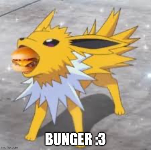 Jolteon eating burger | BUNGER :3 | image tagged in jolteon eating burger | made w/ Imgflip meme maker