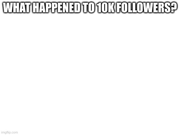m | WHAT HAPPENED TO 10K FOLLOWERS? | image tagged in m | made w/ Imgflip meme maker