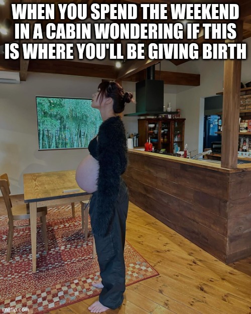 WHEN YOU SPEND THE WEEKEND IN A CABIN WONDERING IF THIS IS WHERE YOU'LL BE GIVING BIRTH | image tagged in pregnant,cabin,birth,the weekend | made w/ Imgflip meme maker