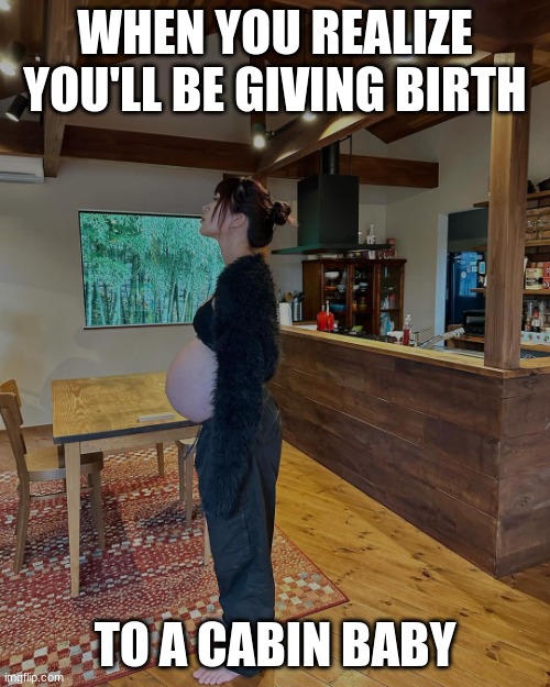 Pregnant with a cabin baby | WHEN YOU REALIZE YOU'LL BE GIVING BIRTH; TO A CABIN BABY | image tagged in pregnant,cabin,baby,birth,when you realize | made w/ Imgflip meme maker