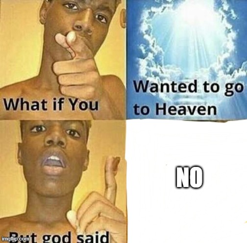 What if you wanted to go to Heaven | NO | image tagged in what if you wanted to go to heaven | made w/ Imgflip meme maker