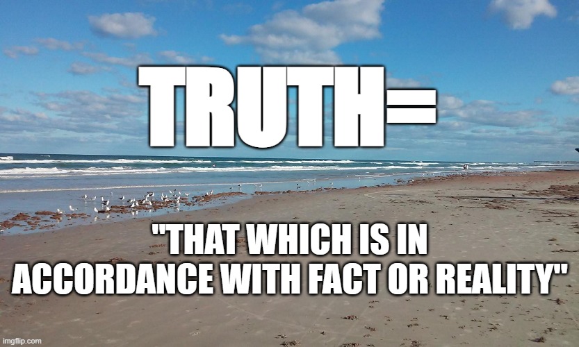 TRUTH | TRUTH=; "THAT WHICH IS IN ACCORDANCE WITH FACT OR REALITY" | image tagged in truth | made w/ Imgflip meme maker