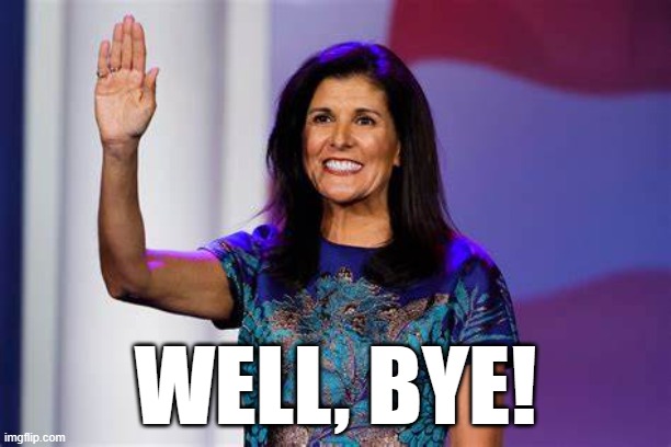 BYE LOSER | WELL, BYE! | image tagged in haley,loser,nikki | made w/ Imgflip meme maker