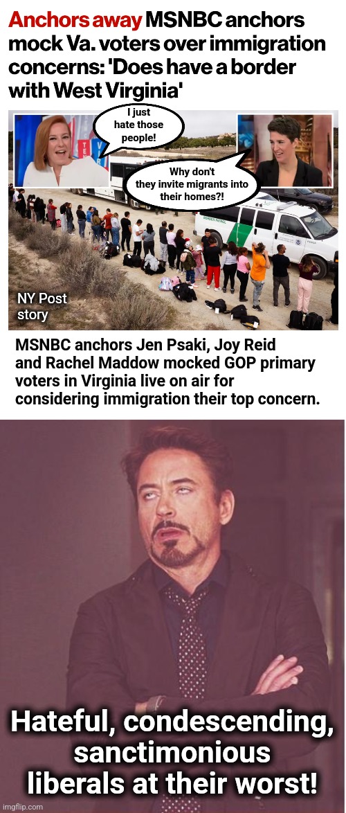When you realize that libs are the very worst people, you have attained true enlightenment | I just
hate those
people! Why don't
they invite migrants into
their homes?! NY Post
story; MSNBC anchors Jen Psaki, Joy Reid and Rachel Maddow mocked GOP primary voters in Virginia live on air for considering immigration their top concern. Hateful, condescending, sanctimonious liberals at their worst! | image tagged in memes,face you make robert downey jr,liberals,migrants,msnbc,democrats | made w/ Imgflip meme maker