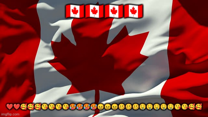 Canada flag | ???????? ❤️❤️?????????????????????????? | image tagged in canada flag | made w/ Imgflip meme maker