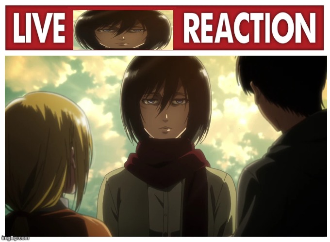 live mikasa ackermann reaction | image tagged in aot,snk | made w/ Imgflip meme maker