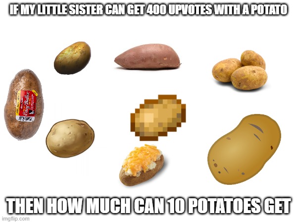 (this is not upvote begging. upvotes not nessisary) | IF MY LITTLE SISTER CAN GET 400 UPVOTES WITH A POTATO; THEN HOW MUCH CAN 10 POTATOES GET | image tagged in potato,potatoes | made w/ Imgflip meme maker