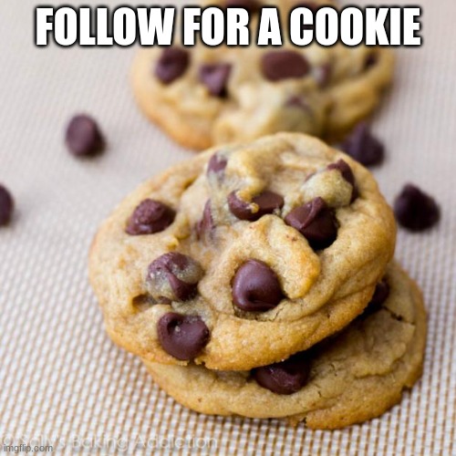 Punny Cookies | FOLLOW FOR A COOKIE | image tagged in punny cookies | made w/ Imgflip meme maker