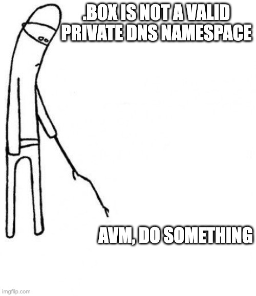 c'mon do something | .BOX IS NOT A VALID PRIVATE DNS NAMESPACE; AVM, DO SOMETHING | image tagged in c'mon do something | made w/ Imgflip meme maker