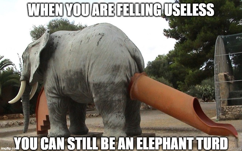 C'mon kid, stop being sad | WHEN YOU ARE FELLING USELESS; YOU CAN STILL BE AN ELEPHANT TURD | image tagged in elephant slide | made w/ Imgflip meme maker
