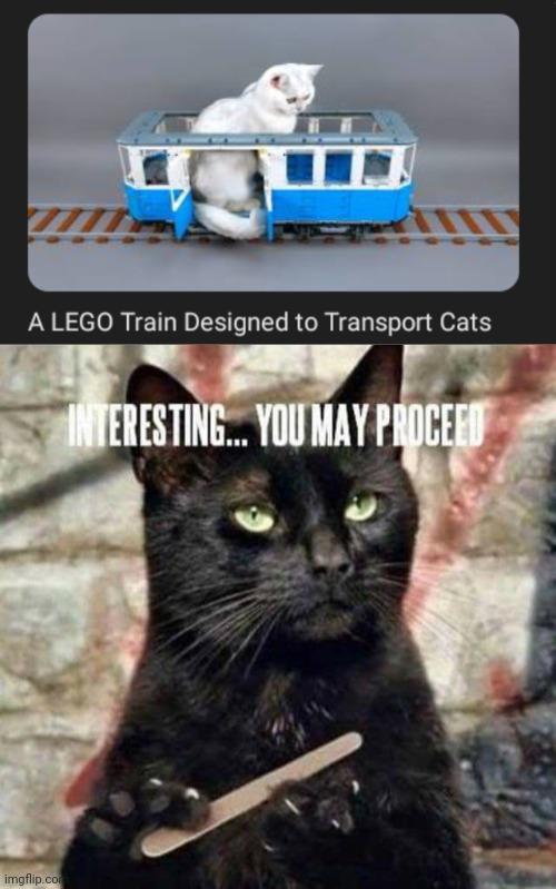 A LEGO train | image tagged in interesting you may proceed,lego,train,cats,cat,memes | made w/ Imgflip meme maker