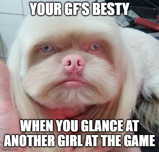 Ugly dog | YOUR GF'S BESTY; WHEN YOU GLANCE AT ANOTHER GIRL AT THE GAME | image tagged in ugly dog | made w/ Imgflip meme maker