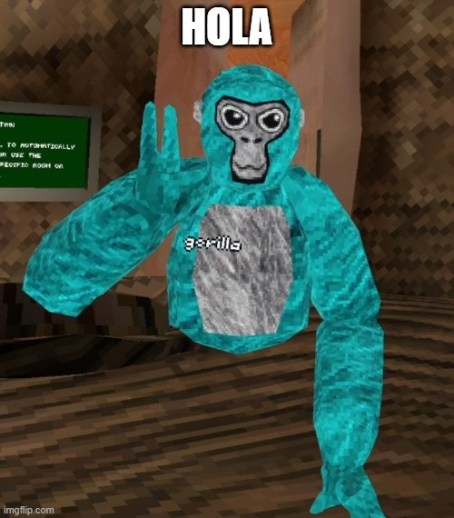 Monkey | HOLA | image tagged in monkey | made w/ Imgflip meme maker