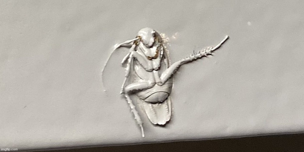 i found this earlier today | image tagged in painted roach | made w/ Imgflip meme maker