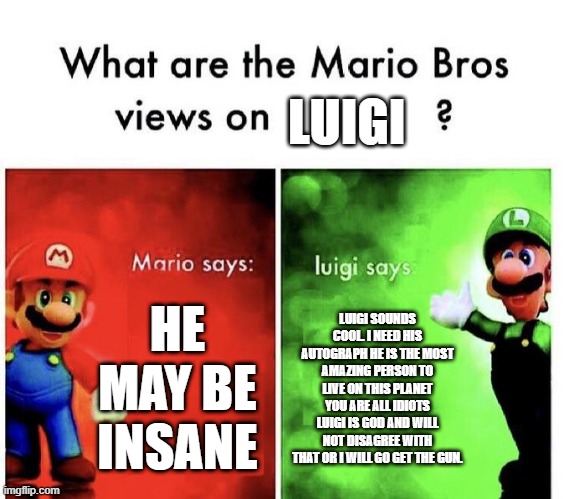 Mario Bros Views | LUIGI; HE MAY BE INSANE; LUIGI SOUNDS COOL. I NEED HIS AUTOGRAPH HE IS THE MOST AMAZING PERSON TO LIVE ON THIS PLANET YOU ARE ALL IDIOTS LUIGI IS GOD AND WILL NOT DISAGREE WITH THAT OR I WILL GO GET THE GUN. | image tagged in mario bros views | made w/ Imgflip meme maker
