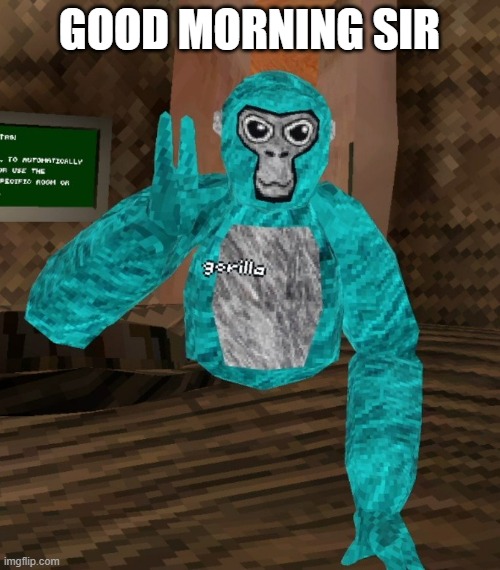 Monkey | GOOD MORNING SIR | image tagged in monkey | made w/ Imgflip meme maker