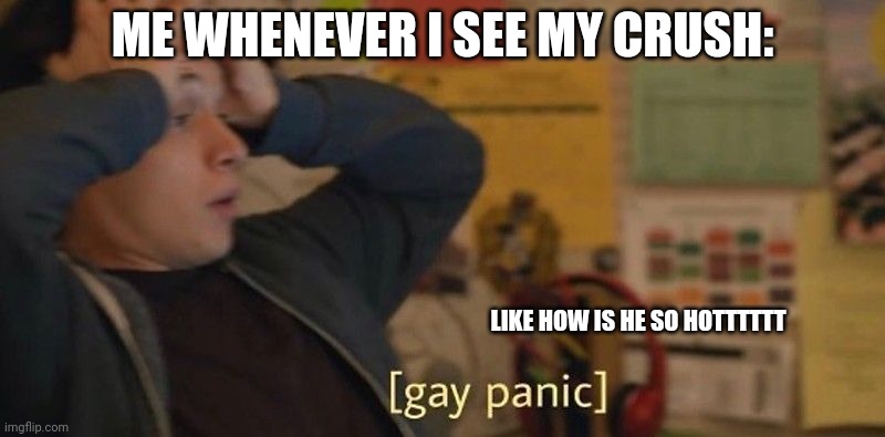 Gay panic | ME WHENEVER I SEE MY CRUSH:; LIKE HOW IS HE SO HOTTTTTT | image tagged in gay panic | made w/ Imgflip meme maker