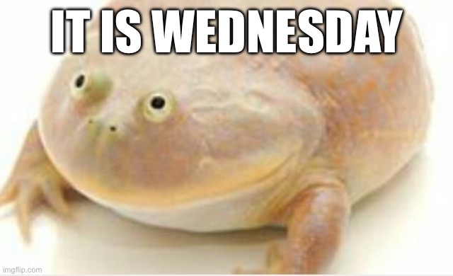 It's Wednesday my dudes | IT IS WEDNESDAY | image tagged in it's wednesday my dudes | made w/ Imgflip meme maker